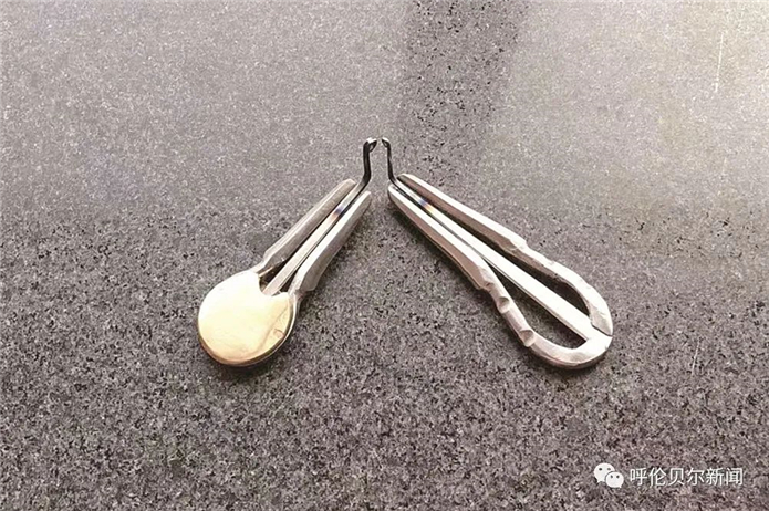内蒙古非遗文化.jpg