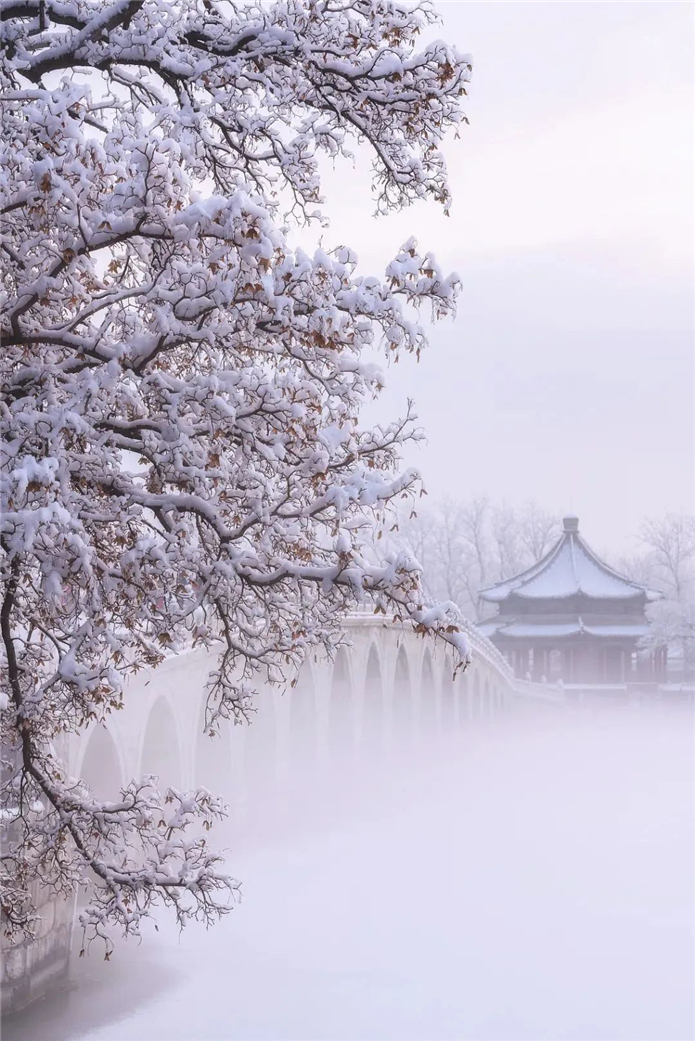 非遗内蒙古.jpg