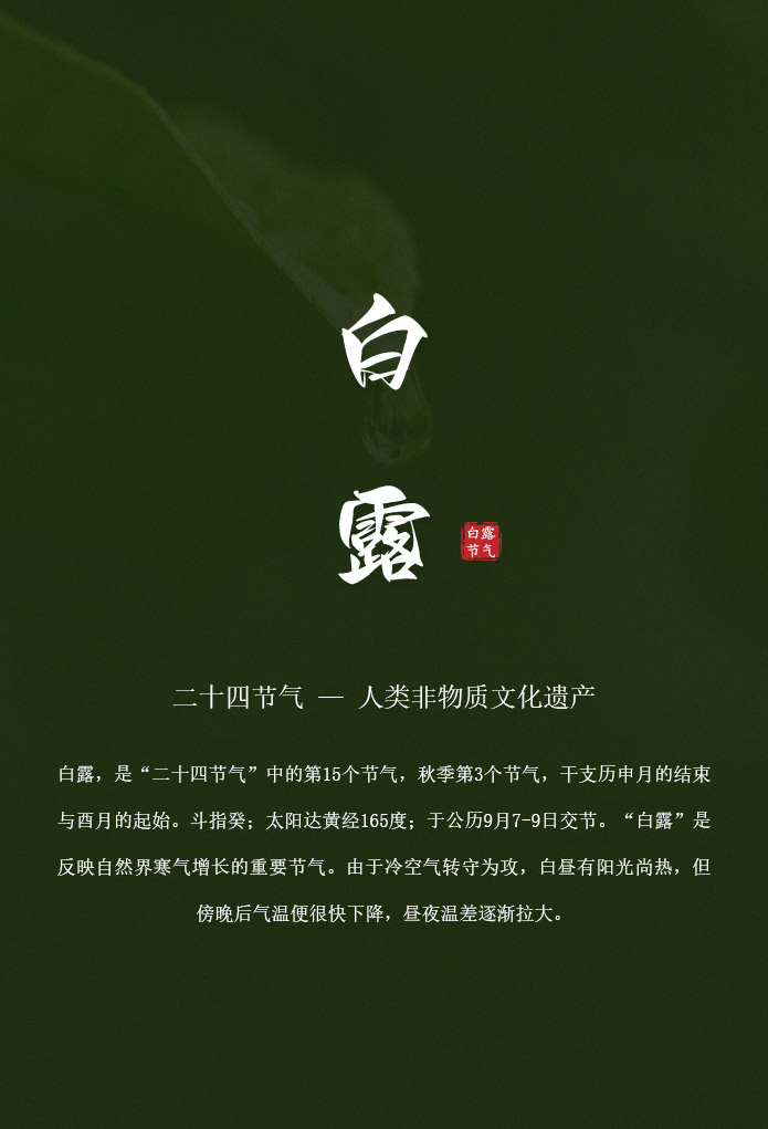 24节气，网站发布新闻图.jpg