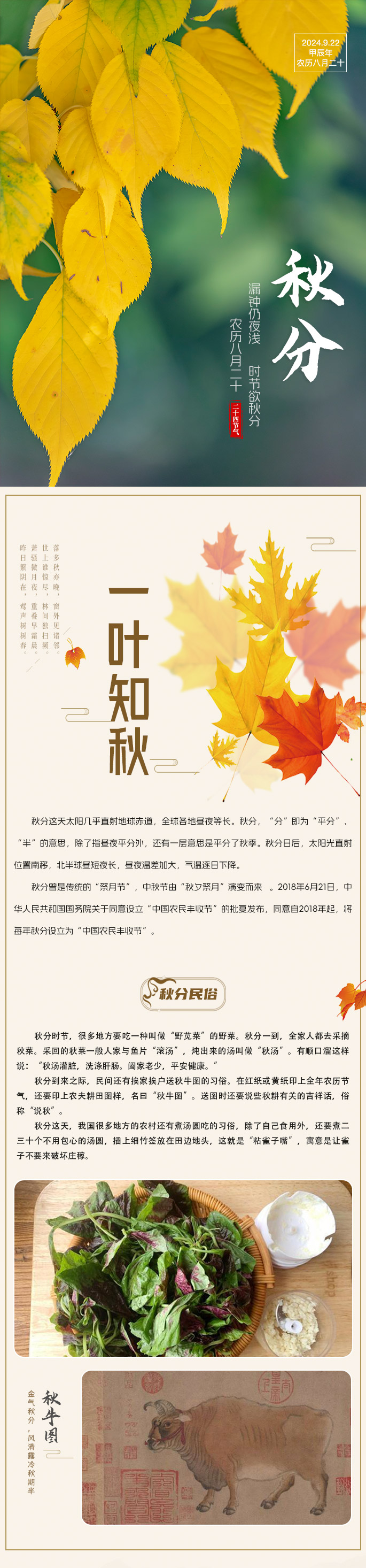 秋分.jpg
