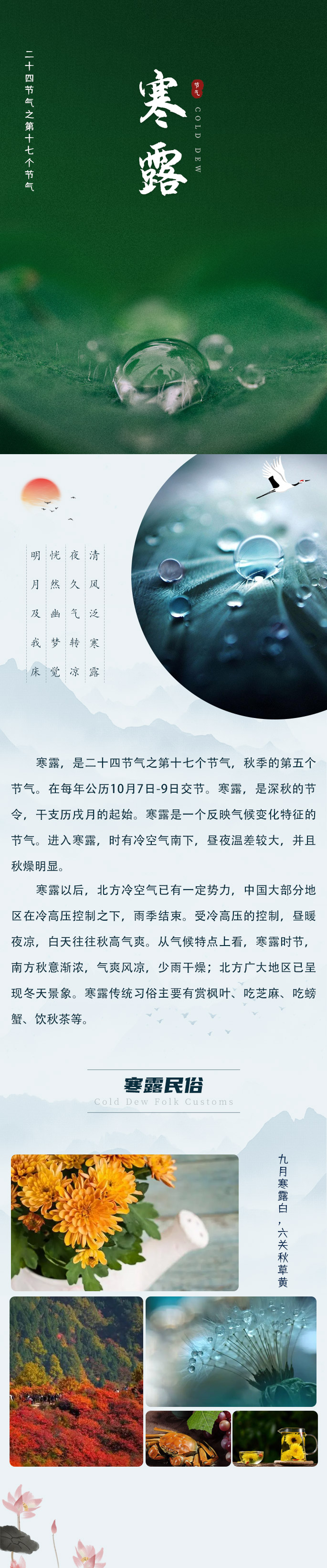 2024-寒露新版.jpg