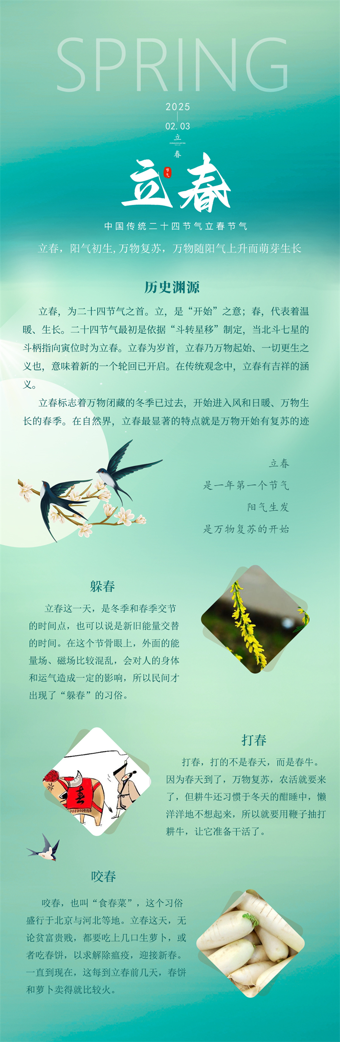2024-立春新版_副本.jpg